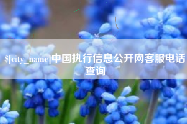 靖边中国执行信息公开网客服电话查询