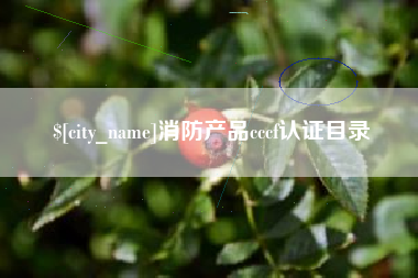 靖边消防产品cccf认证目录
