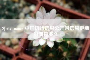 靖边中国执行信息公开网信息更新时间是多久