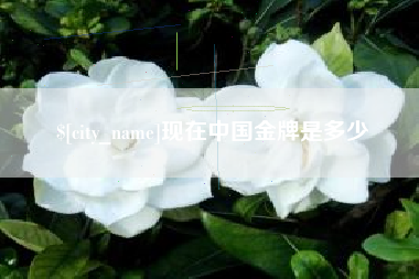 靖边现在中国金牌是多少