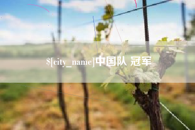 靖边中国队 冠军