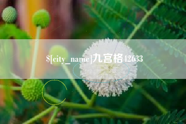 靖边九宫格42633