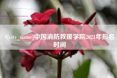 靖边中国消防救援学院2021年报名时间