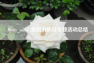 靖边全国消防日主题活动总结