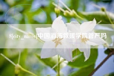 靖边中国消防救援学院管严吗