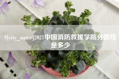 靖边2021中国消防救援学院分数线是多少