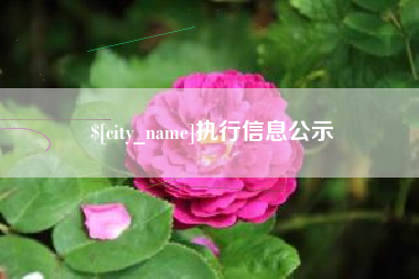 靖边执行信息公示