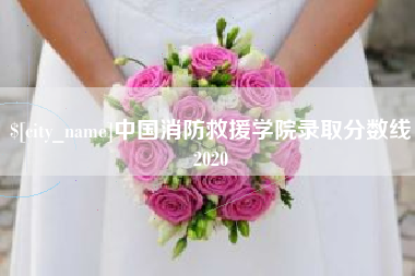 靖边中国消防救援学院录取分数线2020