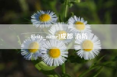 靖边成都 消防