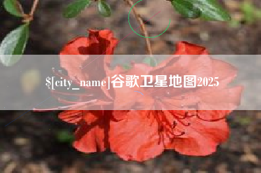 靖边谷歌卫星地图2025