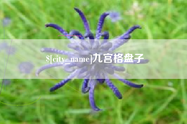 靖边九宫格盘子