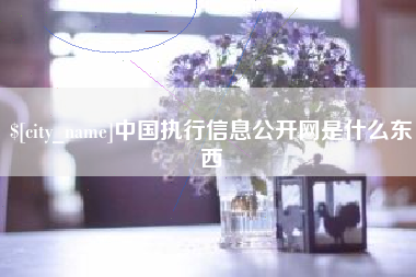 靖边中国执行信息公开网是什么东西