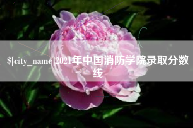 靖边2021年中国消防学院录取分数线