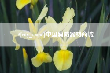 靖边中国消防器材商城