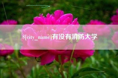 靖边有没有消防大学
