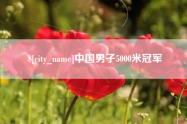 靖边中国男子5000米冠军