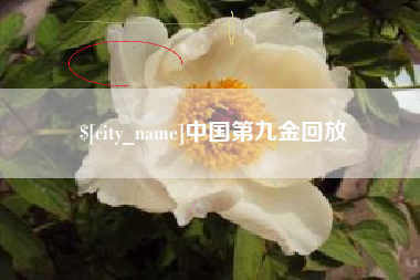 靖边中国第九金回放