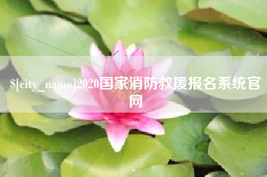 靖边2020国家消防救援报名系统官网