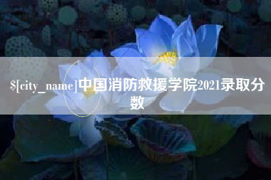 靖边中国消防救援学院2021录取分数