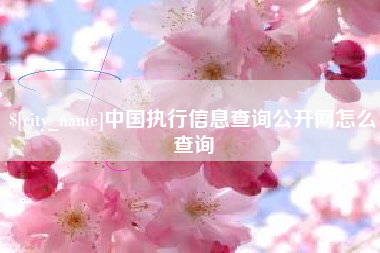 靖边中国执行信息查询公开网怎么查询