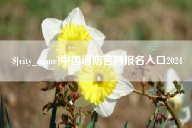 靖边中国消防官网报名入口2024