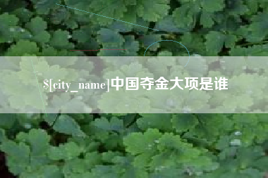 靖边中国夺金大项是谁