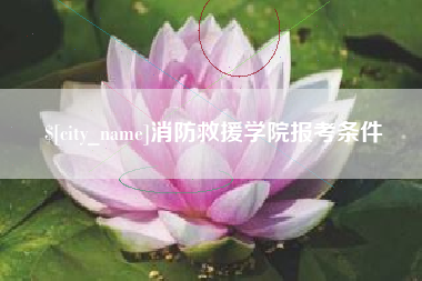 靖边消防救援学院报考条件
