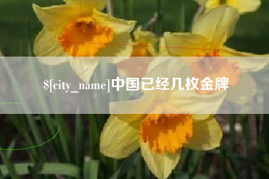 靖边中国已经几枚金牌