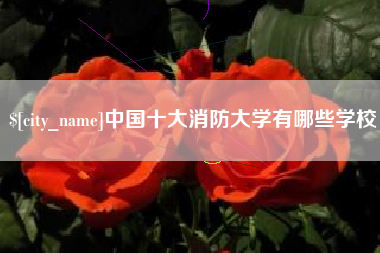 靖边中国十大消防大学有哪些学校
