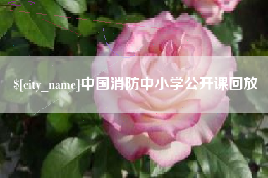 靖边中国消防中小学公开课回放