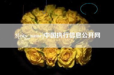 靖边中国执行信息公开网