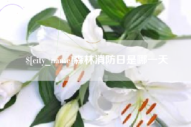 靖边森林消防日是哪一天