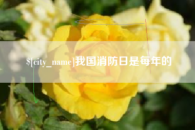 靖边我国消防日是每年的
