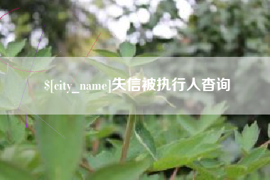靖边失信被执行人杳询