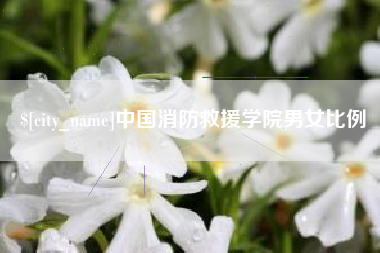 靖边中国消防救援学院男女比例
