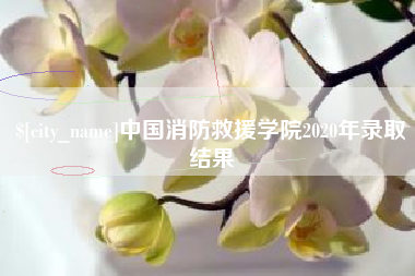 靖边中国消防救援学院2020年录取结果