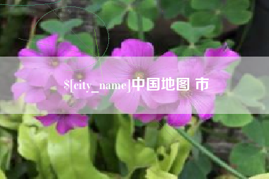 靖边中国地图 市