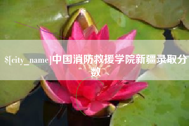 靖边中国消防救援学院新疆录取分数