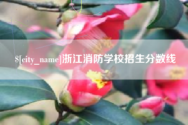 靖边浙江消防学校招生分数线