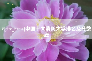 靖边中国十大消防大学排名及分数线