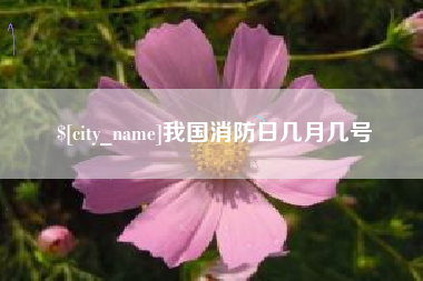靖边我国消防日几月几号