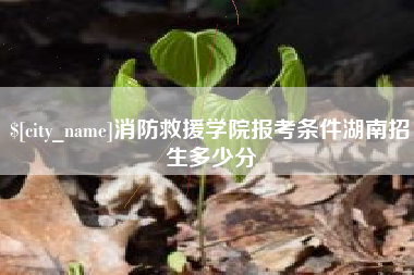 靖边消防救援学院报考条件湖南招生多少分