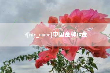 靖边中国金牌18金