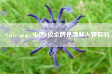 靖边中国6枚金牌是哪些人获得的
