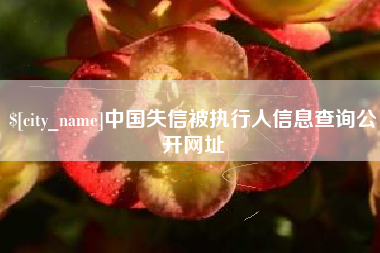 靖边中国失信被执行人信息查询公开网址