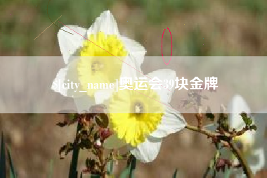 靖边奥运会39块金牌