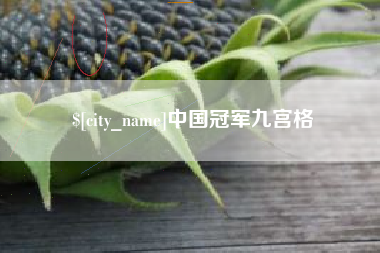 靖边中国冠军九宫格