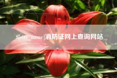 靖边消防证网上查询网站