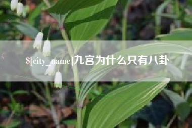 靖边九宫为什么只有八卦