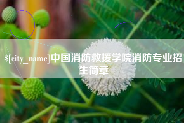 靖边中国消防救援学院消防专业招生简章